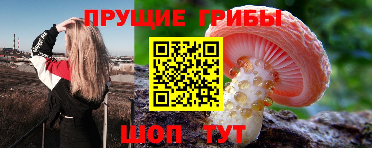 Галлюциногенные грибы Magic Shrooms Россия